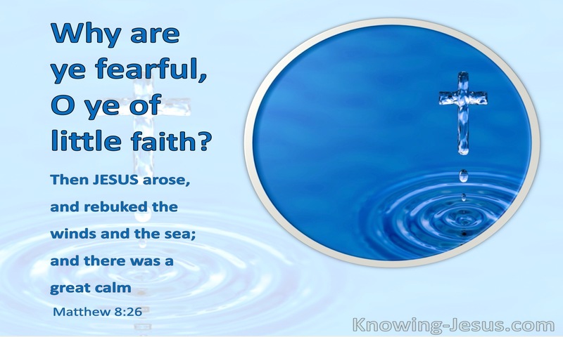 Matthew 8:26 Why Are Ye Fearful O Ye Of Little Faith (blue)